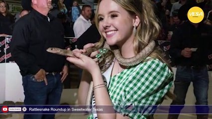 Rattlesnake Roundup in Sweetwater Texas