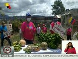 AVV Guerreros del Waraira Repano en Caracas dispone 1.200 m² para el cultivo de hortalizas