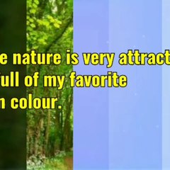 VID_20960124_011748_011