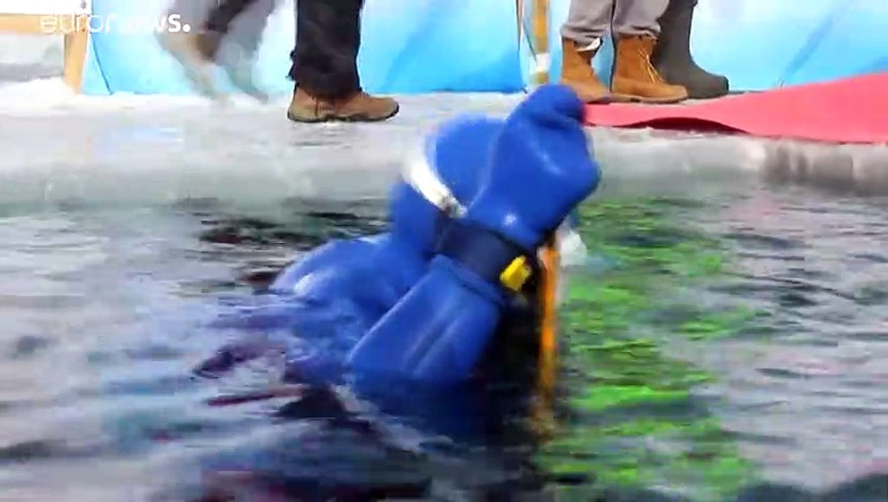 Im kalten, dunklen Wasser: Russischer Apnoe-Taucher stellt Rekord auf