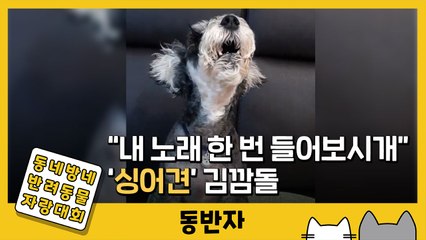 [동반자] "내 노래 한번 들어보시개" '싱어견' 김깜돌 / YTN