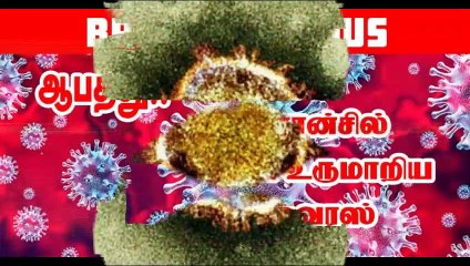 புதிய பிரெஞ்சு வைரஸ் - கண்டுபிடிப்பதற்கே கடினமாக வைரஸ்!!