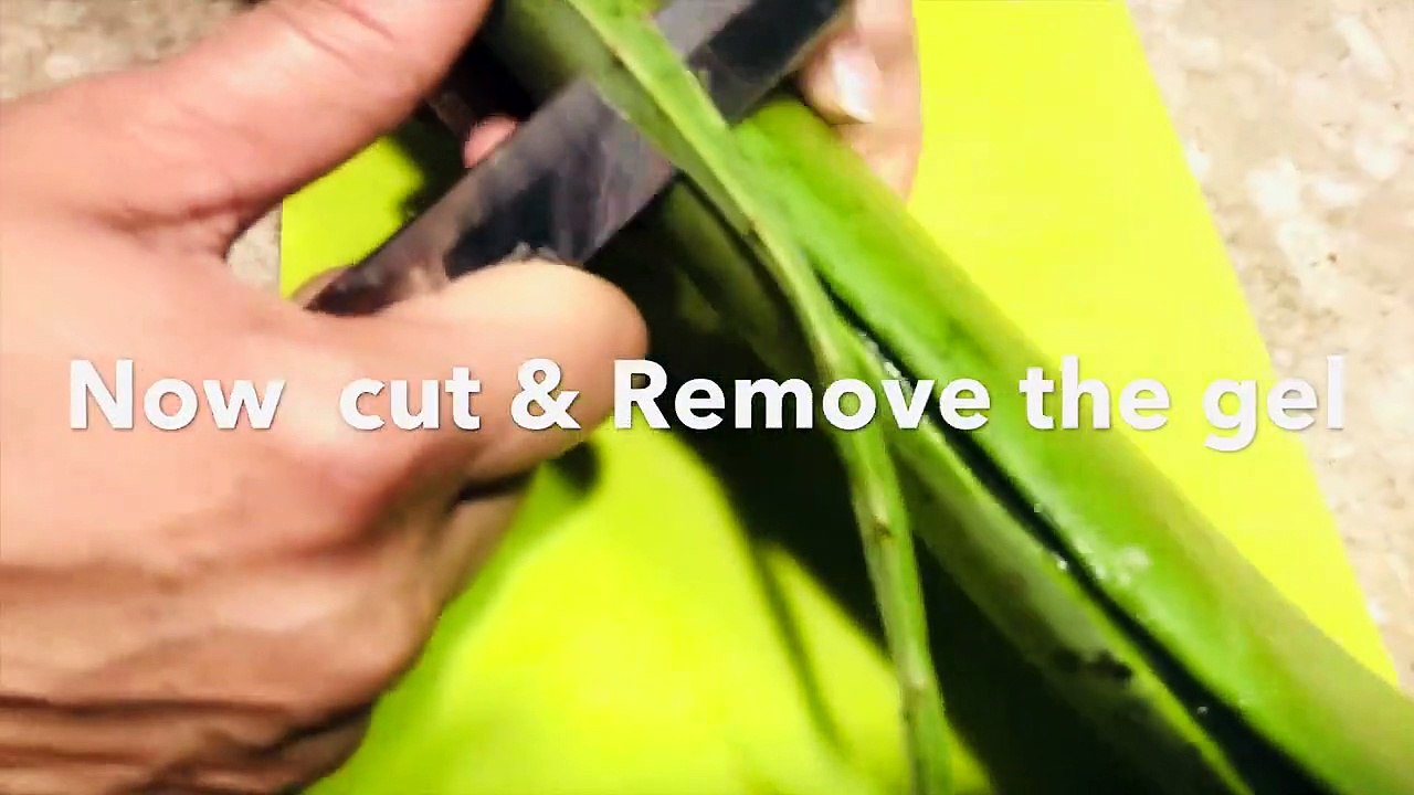Aloe Vera _ How to remove Fresh Aloe Vera Gel at home. (1)