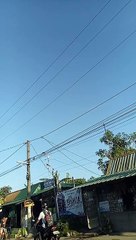 Good Morning Every One