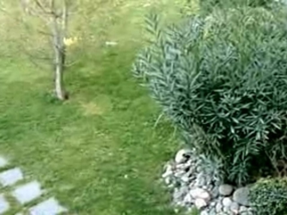 6 vu de la chambre
