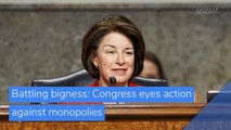 Battling bigness: Congress eyes action against monopolies, and other top stories in business from March 17, 2021.