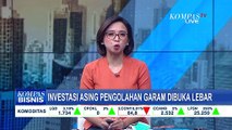 Kurangi Impor, Pemerintah Buka Lebar Investasi Asing dan Lokal untuk Pengolahan Garam