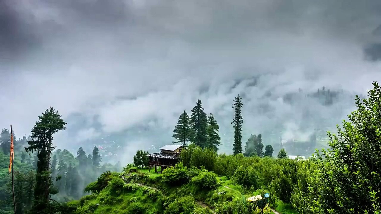 Relaxation Rain and Cricket Sound | Relax Sleep, Meditation and Relieve Stress