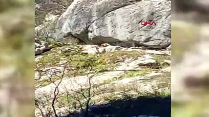 İki genç, kış uykusundan uyanan ayıyla karşılaşınca...