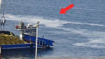 Çanakkale Boğazı'nı kaplayan 'müsilaj' balıkçıların kabusu oldu