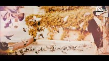 MOLA HUSSAIN QASIDA -- GHAZI KA MOLA SHABBIR MOLA -- SYED JOHN RIZVI -- 3 SHABAN 2021 -- TNA RECORDS
