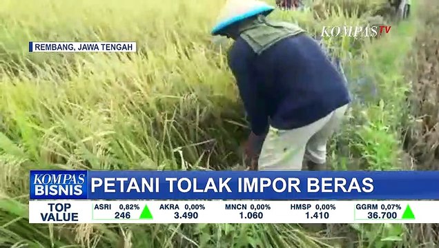 Khawatir Harga Gabah Rendah, Petani di Rembang Tolak Impor Beras