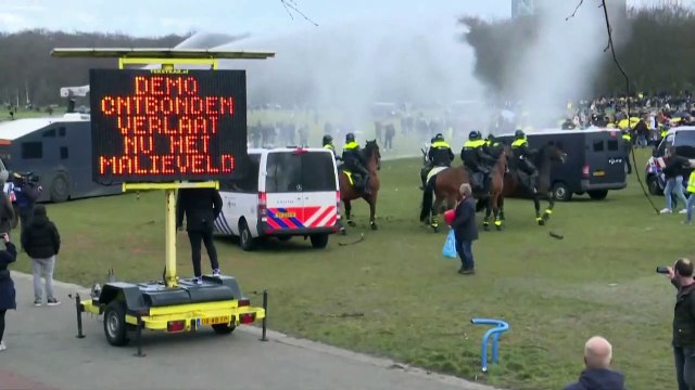 Нидерланды: антикризисный кабинет Рютте