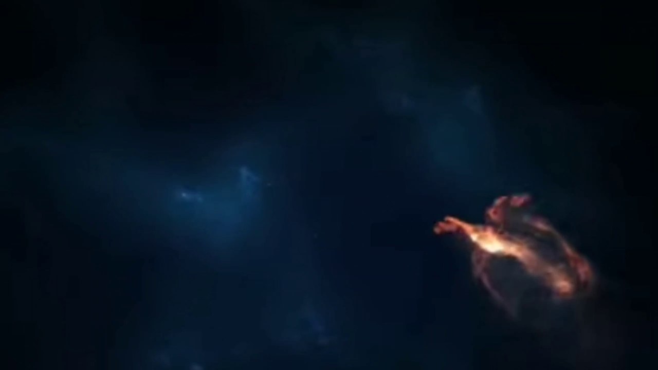 10 Most Expensive Dogs Breeds In The World_Top Expensive Dogs Breeds_Dangerous & Cute Dogs Breeds