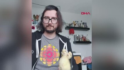 Kanada'da Çin'den gönderilen kargodan çıkanlar şaşırttı