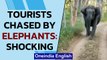 Elephant herd chase tourists in Karnataka to protect calf, video goes viral | OneIndia News