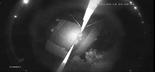 "Tarla fareleri" güvenlik kamerasına yakalandı