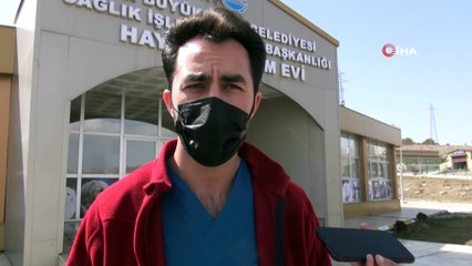 Ölmek üzere olan uyuz köpeğin tedavisi sürüyor