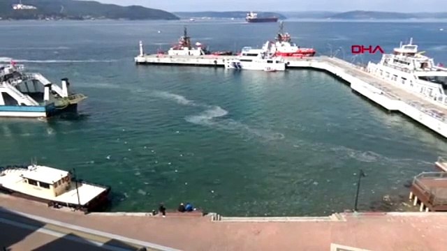 Denizi kaplayan ''müsilaj'' balıkçıların kabusu oldu