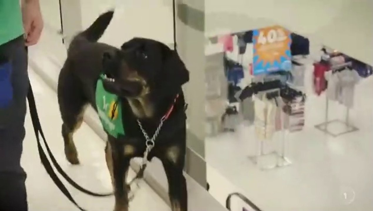 Dog Squad Puppy School S02E05