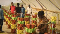 Nigeria's Soilless Farming Pioneer
