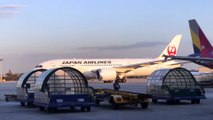 Japan Airline by 崎山大介