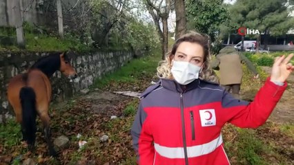 Depremde hayat kurtaran kahraman bir canı daha kurtardı