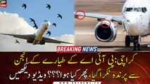 PIA plane hit by bird after take-off from Karachi airport