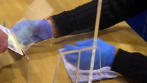 Países Bajos celebra unas elecciones generales marcadas por la COVID-19