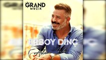 Ersoy Dinç - Yalan Olur