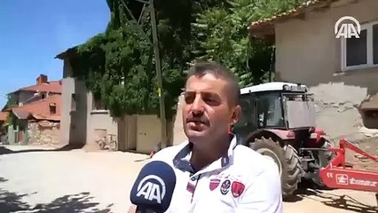 Sarmaşık doğal klima gibi!