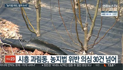 신도시 농지법 위반 의심 수십건…"수사 대상 확대"