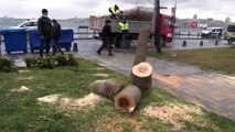 Üsküdar'da gece yarısı elektrikli testereyle ağaç kesenler suçüstü yakalandı