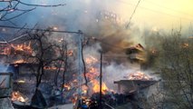Son dakika haberleri! Artvin'in Yusufeli ilçesi Dereiçi köyünde yangın sürüyor