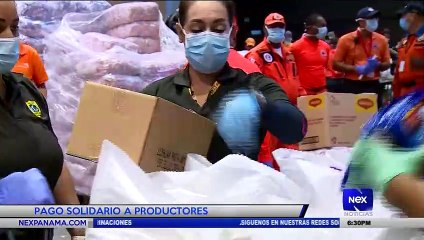 Pago Panamá Solidario a productores - Nex Noticias