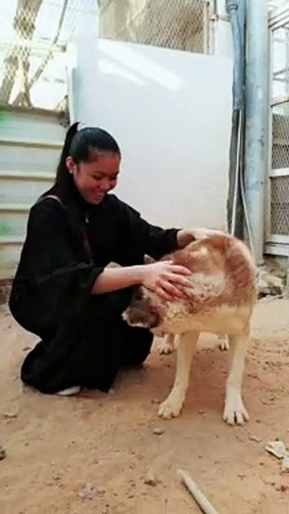 With Husky naughty. 