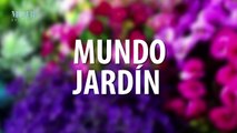 Mundo jardín | ¿Cómo realizar un abono orgánico para las plantas? - Nex Panamá