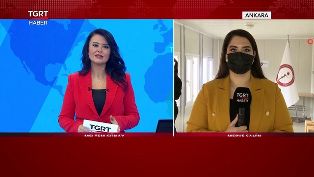 Dedektör Köpekler Kovid 19'u Teşhis Ediyor