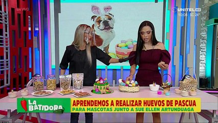 Paso a paso cómo preparar huevos de pascua para las mascotas