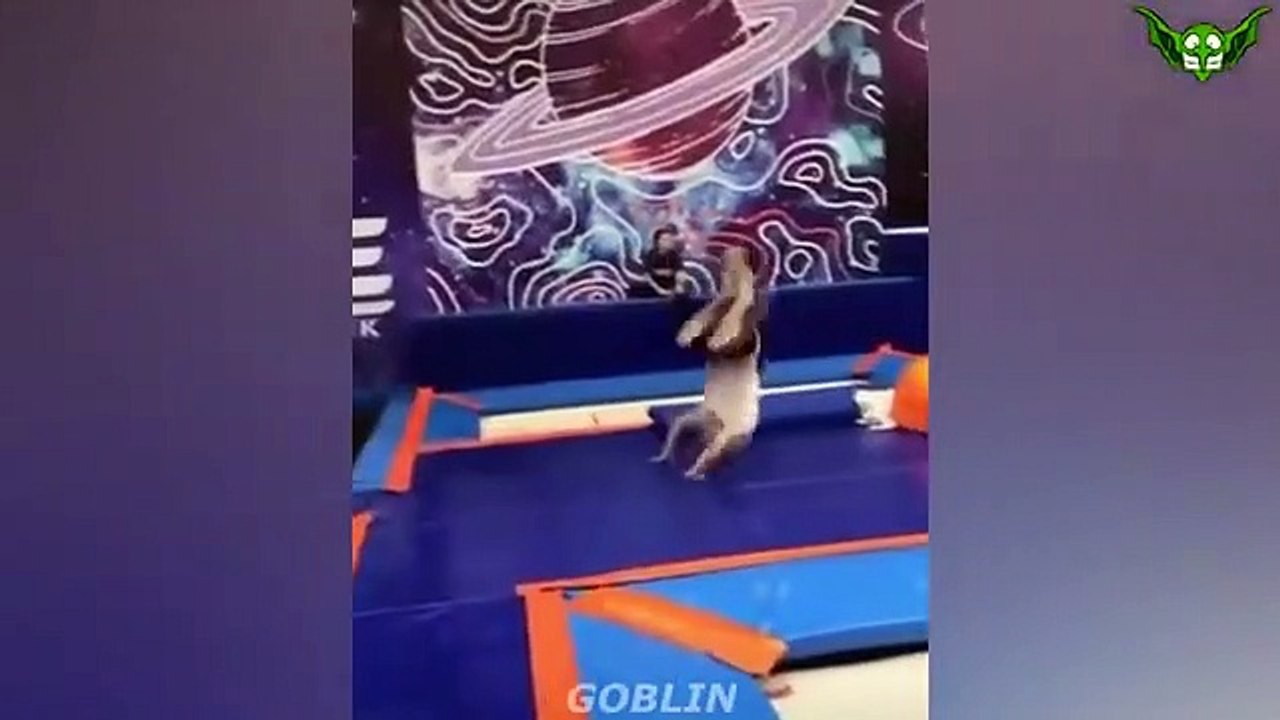 LIKE A BOSS COMPILATION _ AMAZING Videos _ЛайкЭбосс