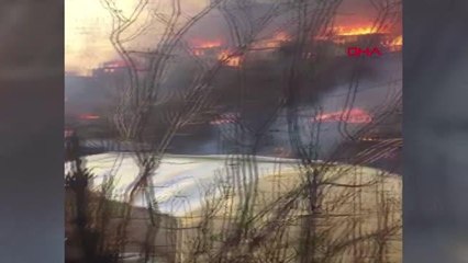 Artvin'de köyde yangın; 50'ye yakın ev alev aldı, ekipler müdahale ediyor