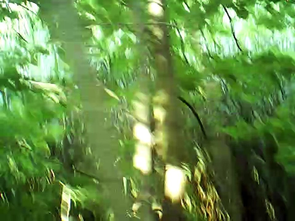 Danny boy vocals