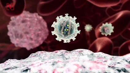 What Everyone Should Know About the COVID-19 Variants