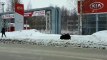 Un ours poursuit un homme en pleine ville en russie