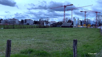 Sujet: développement de Bernex