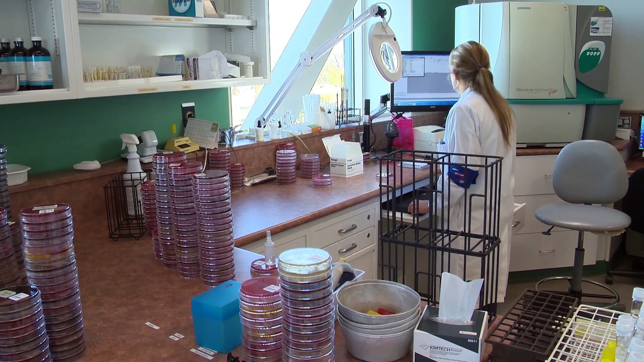 TOPO - UNE MALADIE INCONNUE DANS LA PÉNINSULE ACADIENNE