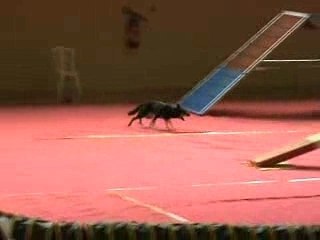 Eurocopter 17FEV08 Beep GPF