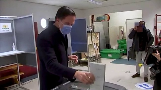 Нидерланды: партия премьера Марка Рютте побеждает на парламентских выборах