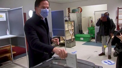 Exit pollok: a Mark Rutte vezette kormánypárt szerezte a legtöbb szavazatot