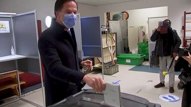 Pays-Bas : le parti du Premier ministre libéral Rutte en tête des législatives (sortie des urnes)